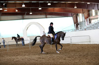 AHANC19_ThursPM_1041
