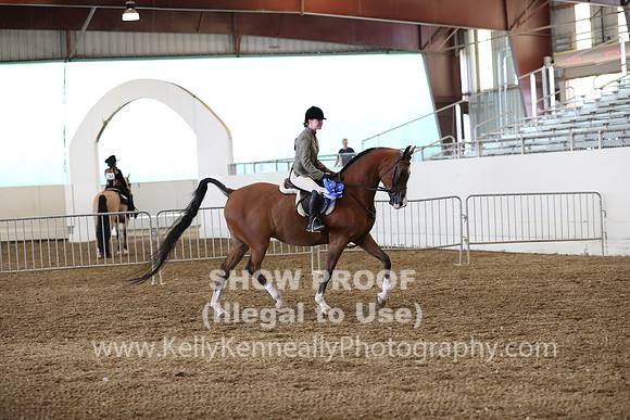 AHANC19_ThursPM_0992