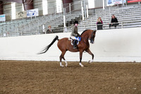 AHANC19_ThursPM_0994