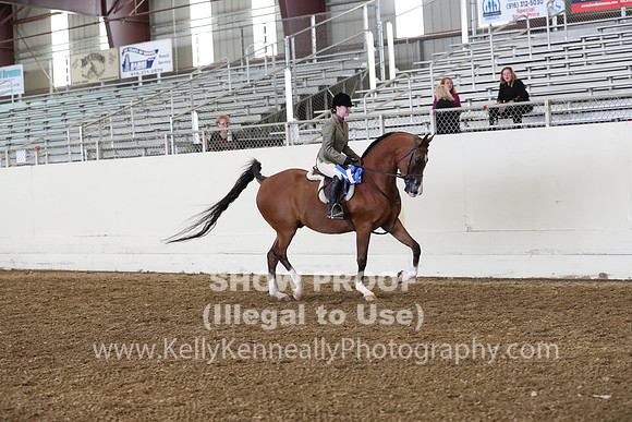 AHANC19_ThursPM_0994