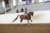 AHANC19_ThursPM_0995