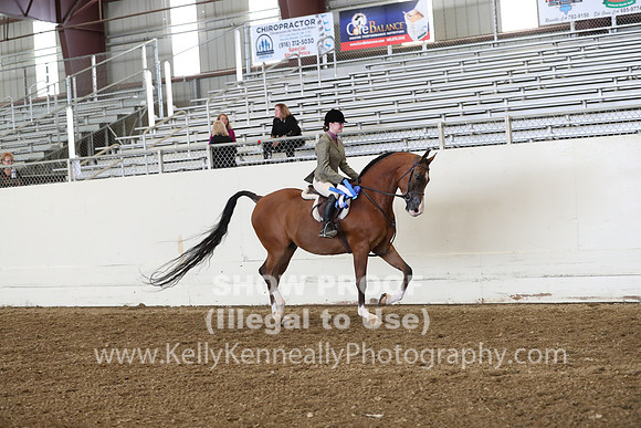 AHANC19_ThursPM_0995
