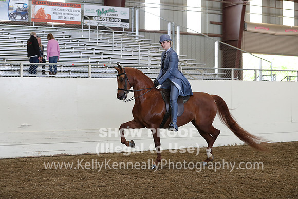 AHANC19_ThursPM_1082