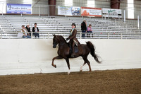 AHANC19_ThursPM_1086