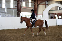 Class 38 HA/AA Hunter Pleasure Walk/Trot JTR 11-18