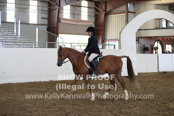 AHANC19_ThursPM_1133