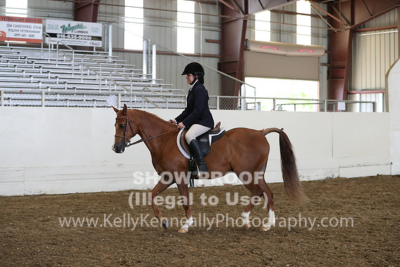 AHANC19_ThursPM_1134