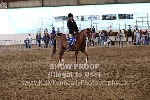 AHANC19_ThursPM_1136