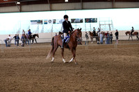 AHANC19_ThursPM_1137
