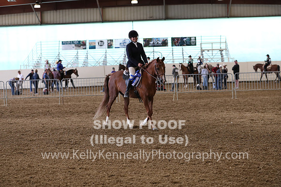 AHANC19_ThursPM_1137