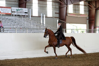 AHANC19_ThursPM_1092