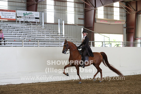AHANC19_ThursPM_1092