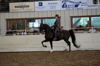 AHANC19_ThursPM_1097