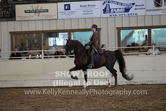AHANC19_ThursPM_1097