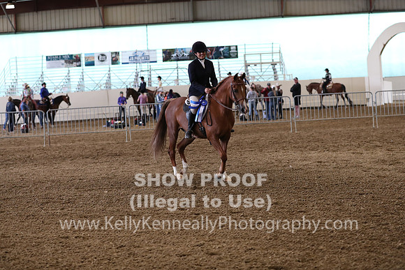 AHANC19_ThursPM_1138