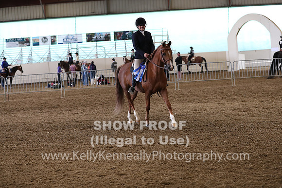 AHANC19_ThursPM_1139