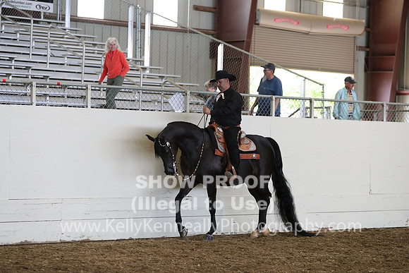 AHANC19_ThursPM_1142