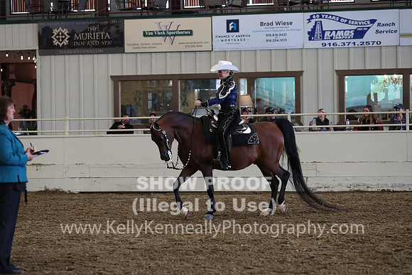 AHANC19_ThursPM_1145