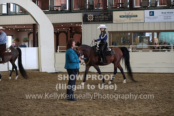 AHANC19_ThursPM_1146