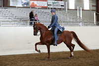 AHANC19_ThursPM_1102