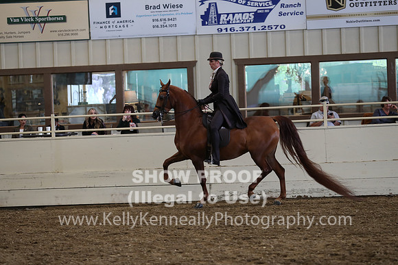 AHANC19_ThursPM_1105
