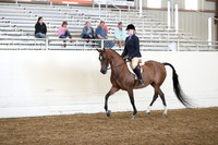 Class 40 HA/AA Hunter Pleasure JTR Select Rider