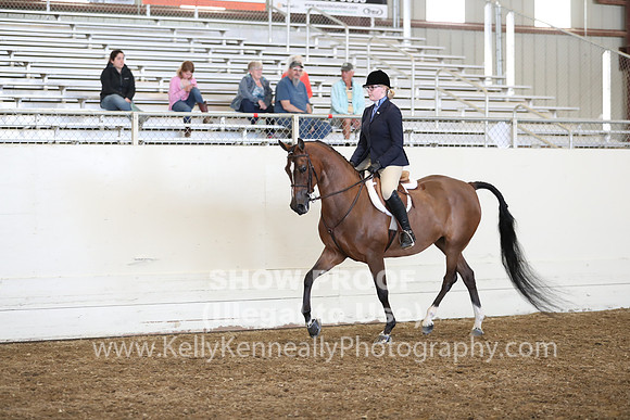 AHANC19_ThursPM_1184