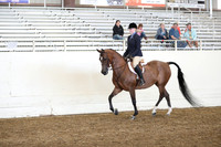 AHANC19_ThursPM_1185