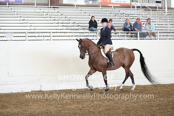 AHANC19_ThursPM_1185
