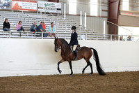 AHANC19_ThursPM_1187