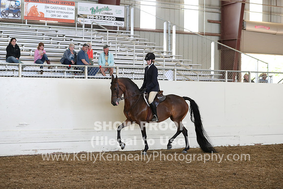 AHANC19_ThursPM_1187