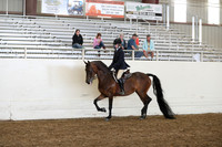 AHANC19_ThursPM_1188