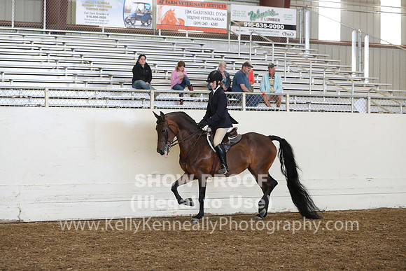 AHANC19_ThursPM_1188