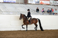 AHANC19_ThursPM_1189