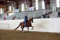 AHANC19_ThursPM_1116