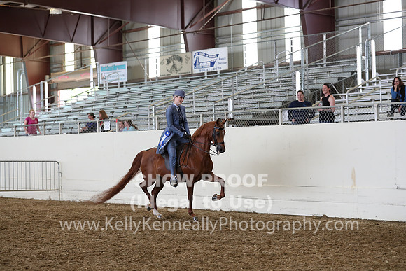 AHANC19_ThursPM_1116