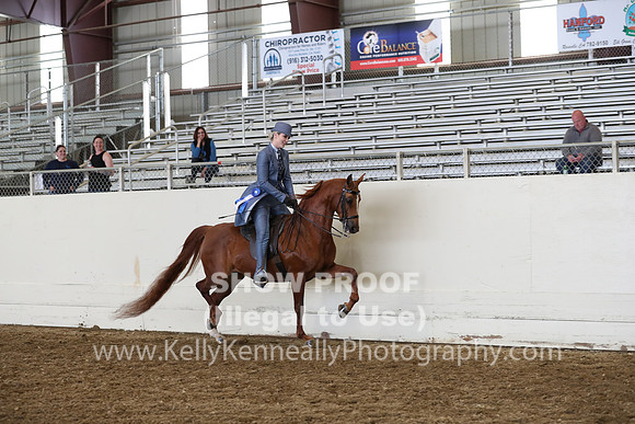 AHANC19_ThursPM_1118