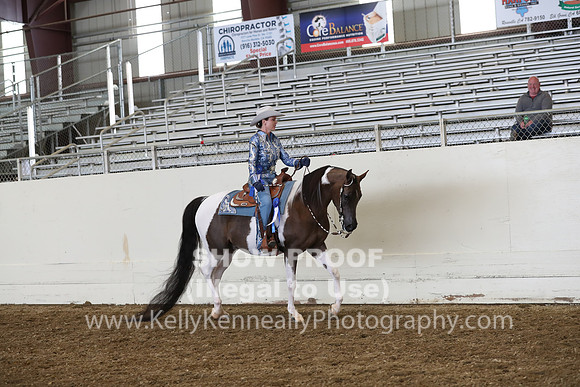 AHANC19_ThursPM_1028