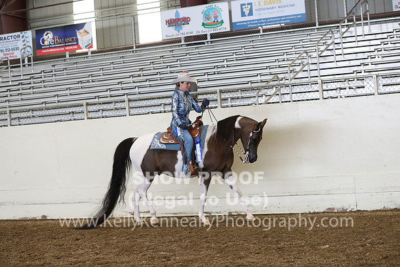 AHANC19_ThursPM_1029
