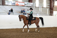 AHANC19_ThursPM_1207