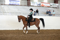 AHANC19_ThursPM_1208