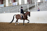 AHANC19_ThursPM_1193