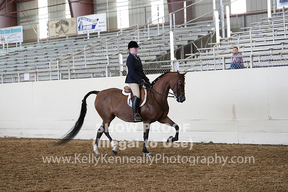 AHANC19_ThursPM_1193