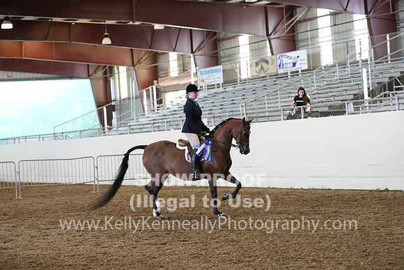 AHANC19_ThursPM_1196