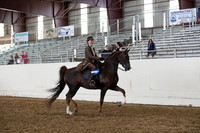 AHANC19_ThursPM_1126