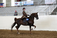 AHANC19_ThursPM_1128