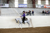 AHANC19_ThursPM_1155