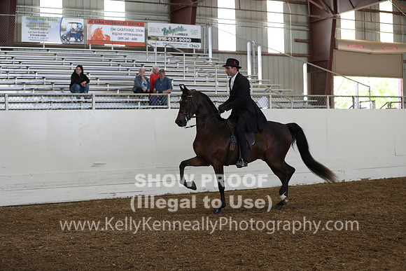AHANC19_ThursPM_1225