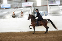 AHANC19_ThursPM_1232