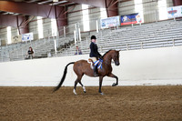 AHANC19_ThursPM_1197